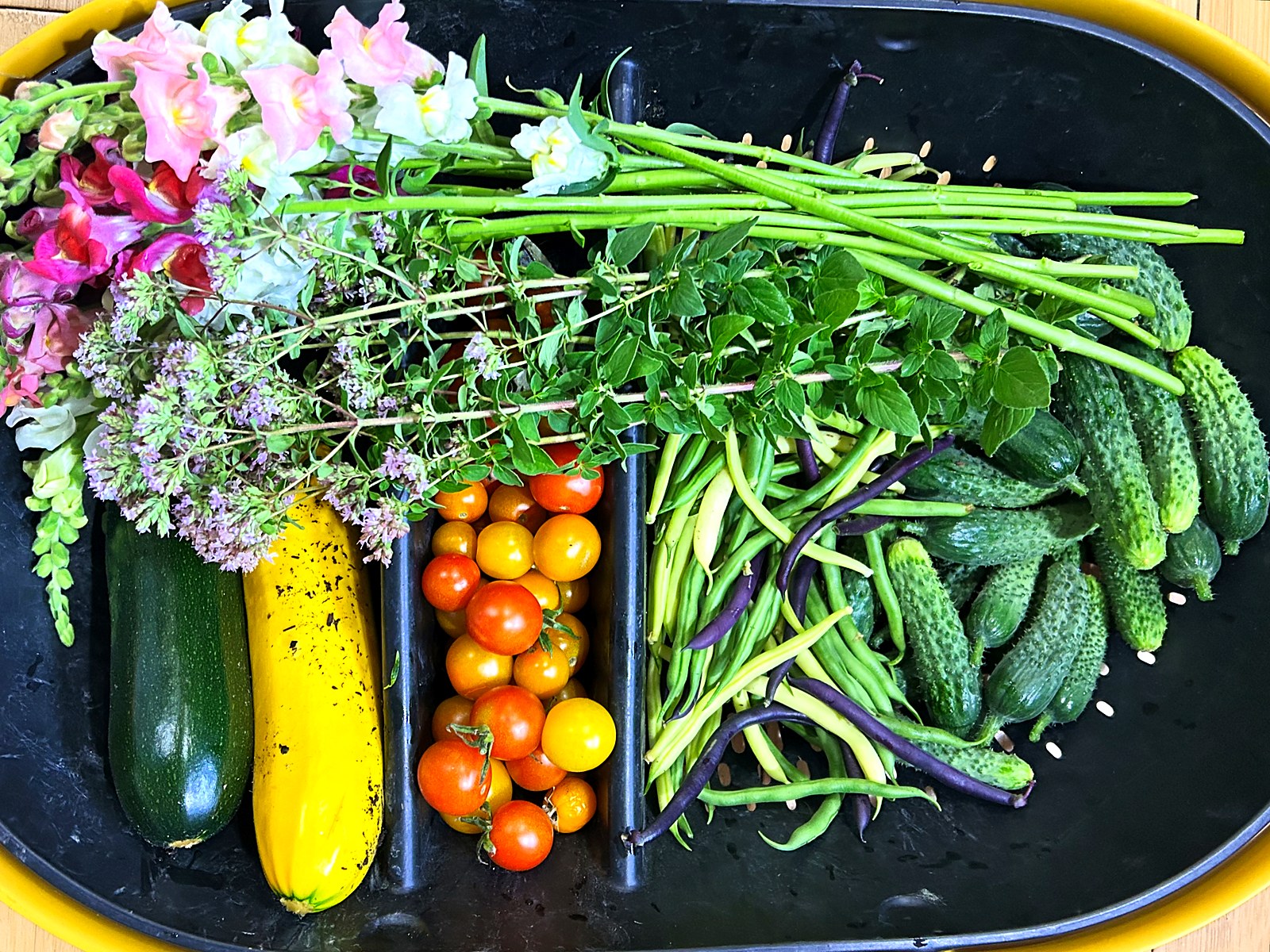 A tray of freshly harvested vegetables and cut flowers from a Zone 5b garden