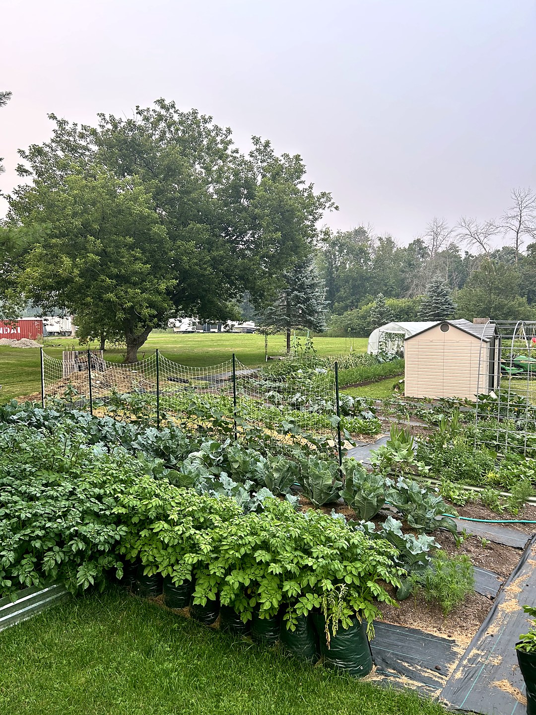 A real Zone 5b vegetable garden planned with GrowSmart